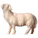 Mouton Regardant pour personnages de crèche de 16 cm bois naturel
