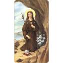 Image Ste Rosalie