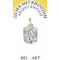 Medaille Zilver + Rhodium - H Michael Rechthoekig 20 x 18 mm 