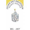 Medaille Zilver + Rhodium - H Michael Rechthoekig 20 x 18 mm 