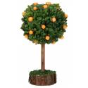 Sinaasappelboom 12 Cm 