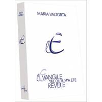 L'Evangile tel qu'il m'a été révélé N.E. - Tome 1 - Chapitres 1 à 78