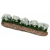 Décor pour santons de Provence Rangée de fleurs blanches