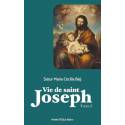 Vie de saint Joseph - Tome 2 
