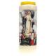 Neuvaine / blanc / N.D. de Fatima - Apparition