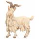 Chevre 20 Cm Couleur