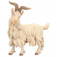 Chevre 20 Cm Couleur