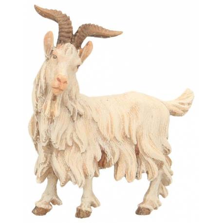 Chevre 20 Cm Couleur