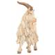Chevre 20 Cm Couleur
