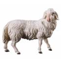 Schaap / Staand : houtsnijwerk kerstgroep Ulrich 15 cm 