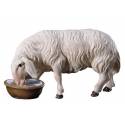 Mouton qui boit : crèche de Noël en bois Ulrich 15 cm