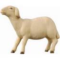 Houtsnijwerk Schaap/Kijkend 10 Cm / Gekleurd 
