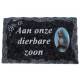 Plaque Cimetiere Aan Onze Dierbare Zoon 9x14