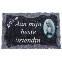 Grafplaat 9x14 Aan Mijn Beste Vriendin 