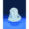Tete De Christ 13.5 Cm