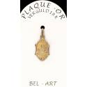 Medaille plaqué-goud Scapulier 15 x 10 mm 