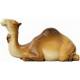Chameau Couche 10 Cm Couleur