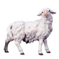 Mouton/regardant A Droite : crèche de Noël en bois Ulrich 15 cm