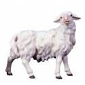 Mouton/regardant A Droite : crèche de Noël en bois Ulrich 15 cm