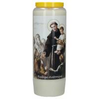 Noveenkaars / wit / H Antonius + Tekst NL 