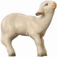 Agneau 10 Cm Couleur