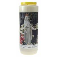 Neuvaine / blanc / N.D. des Roses
