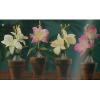 Vase Orchidee 20 Cm