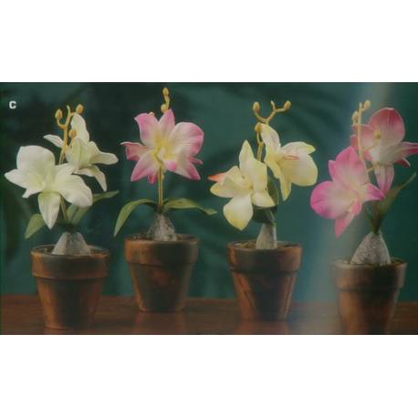 Vase Orchidee 20 Cm