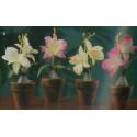 Vase Orchidee 20 Cm