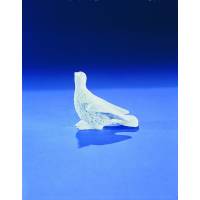 Colombe 08 Cm