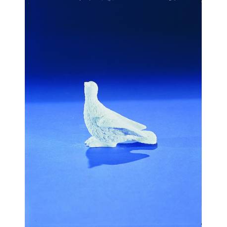 Colombe 08 Cm