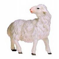 Mouton regardant : crèche de Noël en bois Ulrich 15 cm