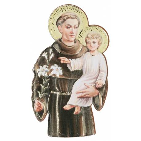 Magneetplaatje - H Antonius 