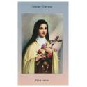 Boek - Neuvaine à Ste Thérèse - FR 