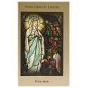 Boek - Neuvaine à ND de Lourdes - FR 