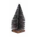 Sapin - 22 cm