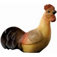 Cocq 10 Cm Couleur