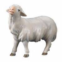 Houtsnijwerk Schaap Kijkend voor kerstfiguren van 16 cm / Gekleurd 