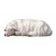 Mouton Dormant pour personnages de crèche de 16 cm Couleur