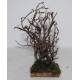 Arbre - 28 cm