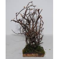 Arbre - 28 cm