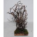 Arbre - 28 cm