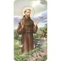 Image St Francois