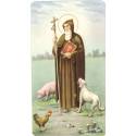 Prentje H Antonius Abt 