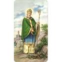 Image St Patrick