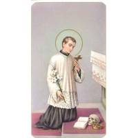 Image St Louis Gonzague