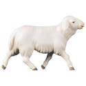 Schaap Lopend 25 Cm Gekleurd 