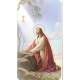 Image Jesus/jardin Des Oliviers