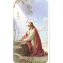 Image Jesus/jardin Des Oliviers