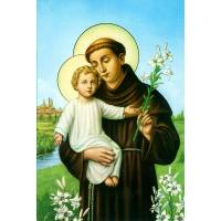 Carte Postale - St Antoine